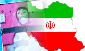Iran space monkey flag