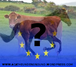 EU horse meat flag
